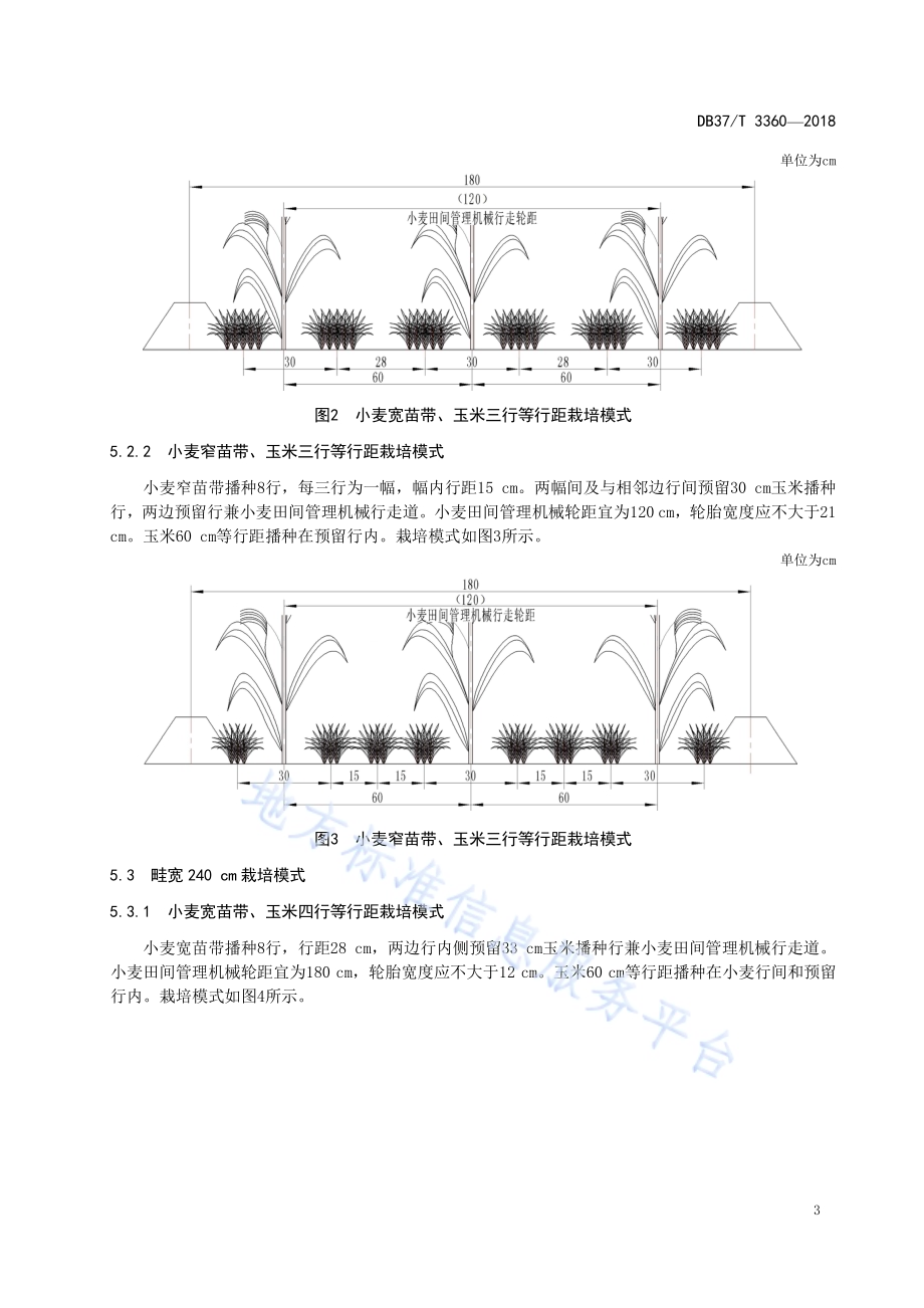 黄淮海小麦玉米全程机械化栽培技术规程DB37／T 3360-2018.pdf_第5页