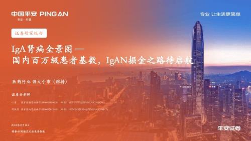 20240514_平安证券_医疗行业IgA肾病全景图：国内百万级患者基数IgAN掘金之路待启航_24页.pdf