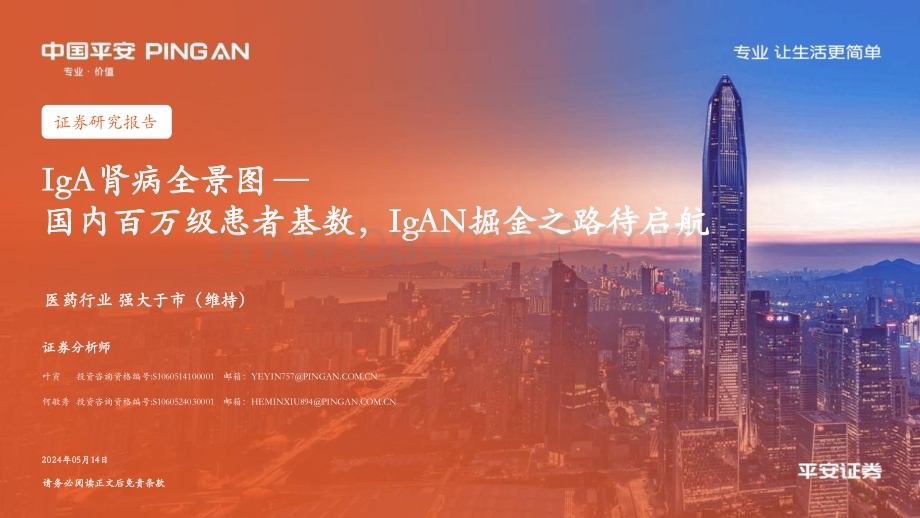 20240514_平安证券_医疗行业IgA肾病全景图：国内百万级患者基数IgAN掘金之路待启航_24页.pdf_第1页