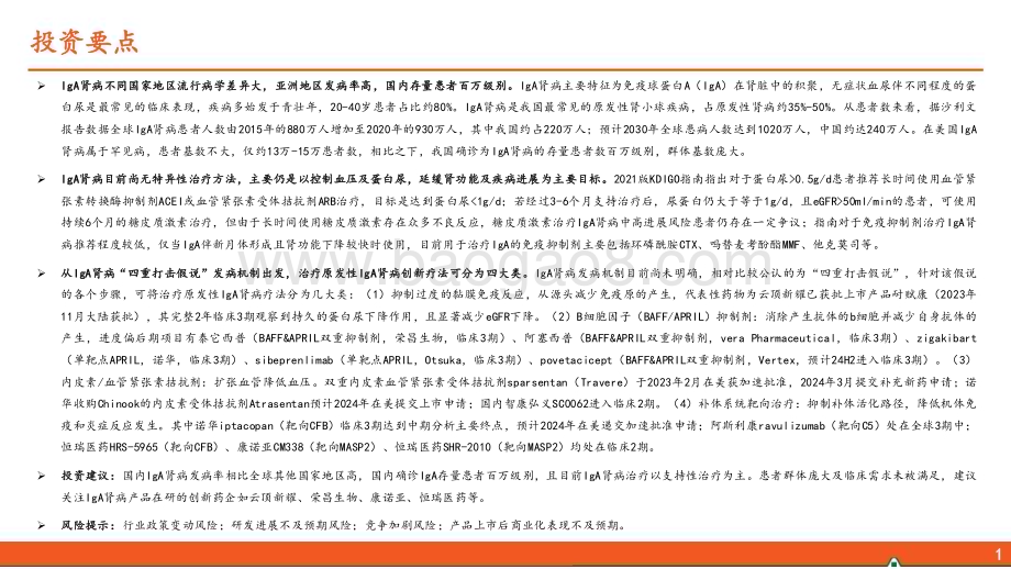 20240514_平安证券_医疗行业IgA肾病全景图：国内百万级患者基数IgAN掘金之路待启航_24页.pdf_第2页