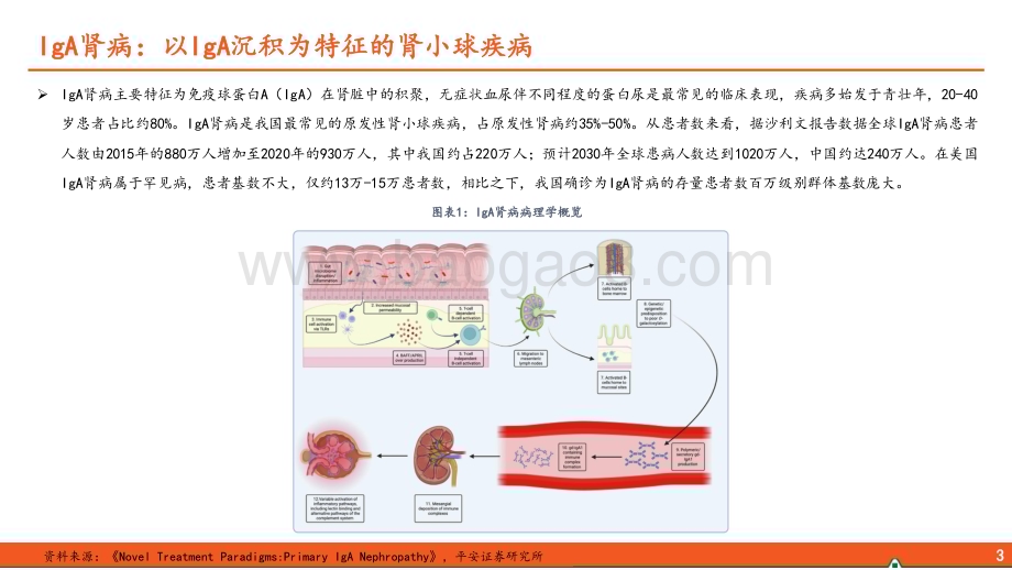 20240514_平安证券_医疗行业IgA肾病全景图：国内百万级患者基数IgAN掘金之路待启航_24页.pdf_第4页