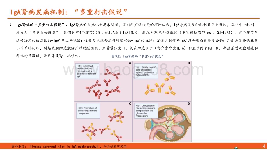 20240514_平安证券_医疗行业IgA肾病全景图：国内百万级患者基数IgAN掘金之路待启航_24页.pdf_第5页