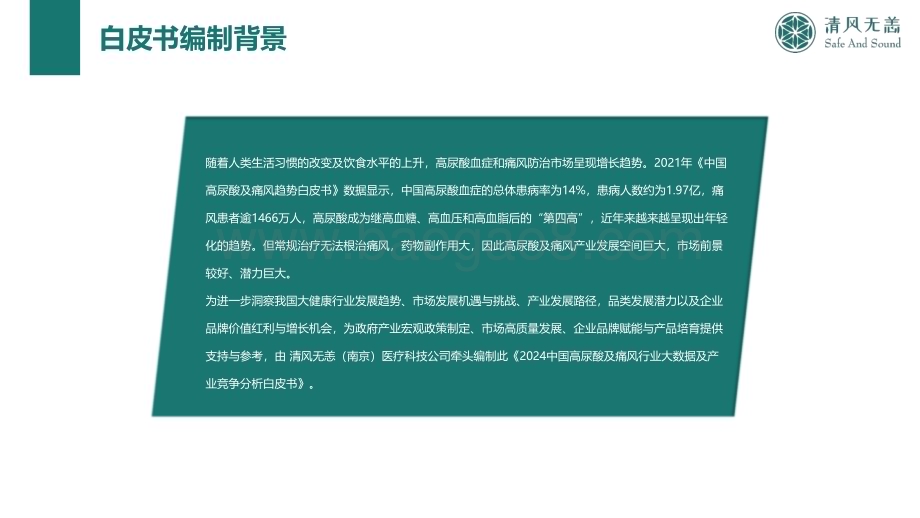 20240514_清风无恙_中国高尿酸及痛风行业大数据及产业竞争分析_122页.pdf_第2页