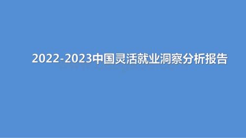 2022-2023中国灵活就业洞察分析报告.pdf