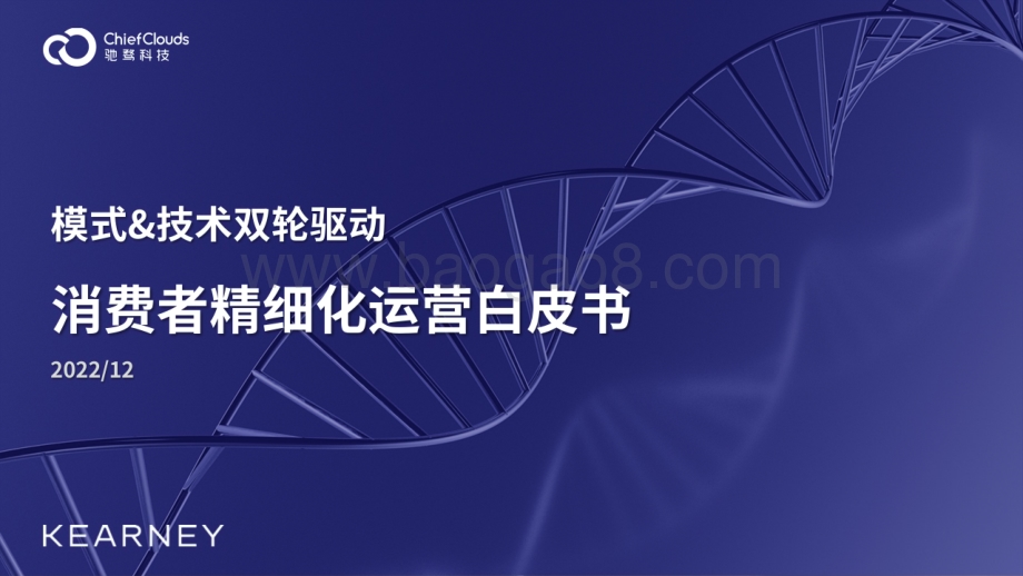 科尔尼：模式_技术双轮驱动消费者精细化运营白皮书_48页_49mb.pdf_第1页