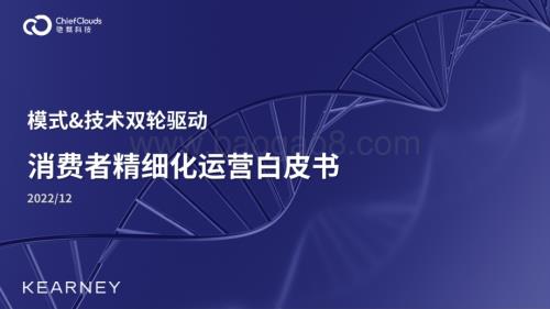 科尔尼：模式_技术双轮驱动消费者精细化运营白皮书_48页_49mb.pdf