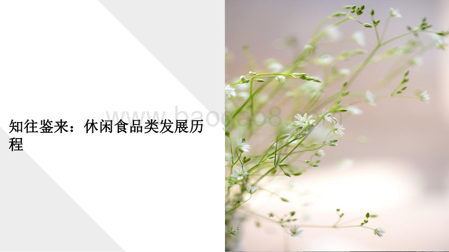 2022-2023年休闲零食行业洞察报告.pdf_第5页
