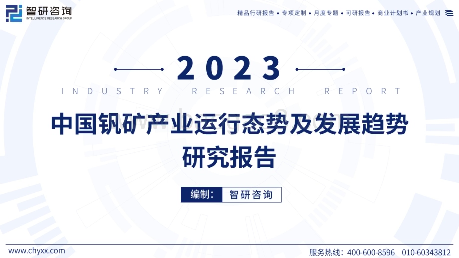 2023年中国钒矿产业运行态势及发展趋势研究报告_55页_10mb.pdf_第1页