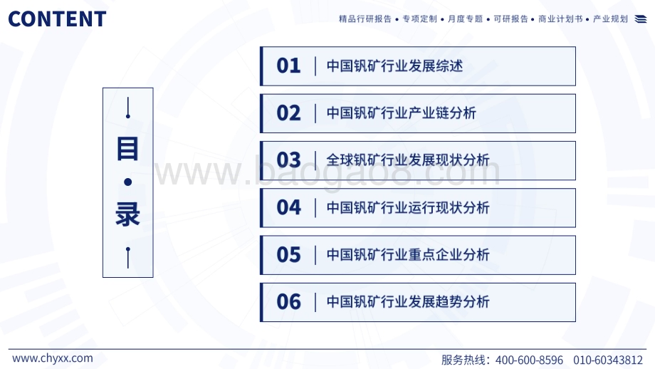 2023年中国钒矿产业运行态势及发展趋势研究报告_55页_10mb.pdf_第2页