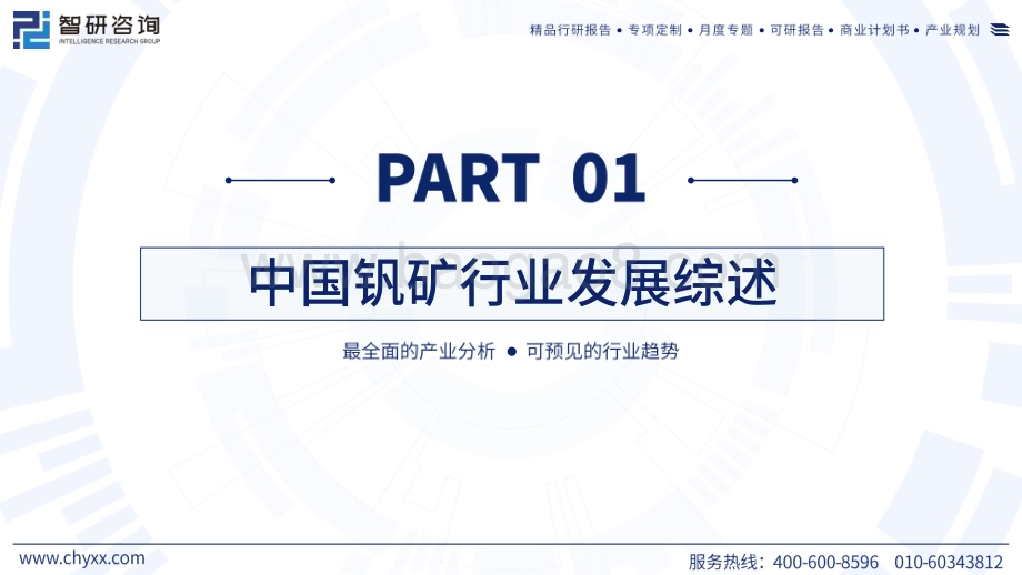 2023年中国钒矿产业运行态势及发展趋势研究报告_55页_10mb.pdf_第3页