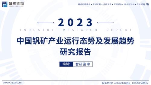 2023年中国钒矿产业运行态势及发展趋势研究报告_55页_10mb.pdf