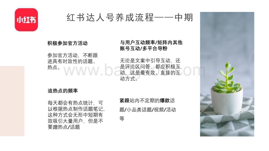 小红书：小红书内容运营技巧培训SOP_22页_1mb.pdf_第5页