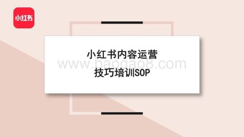 小红书：小红书内容运营技巧培训SOP_22页_1mb.pdf