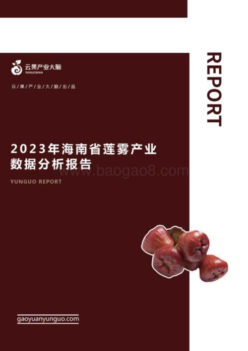 云果-2023年海南省莲雾产业数据分析报告_17页_2mb.pdf