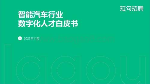 拉勾招聘：2022年智能汽车行业数字化人才白皮书_43页_1mb.pdf