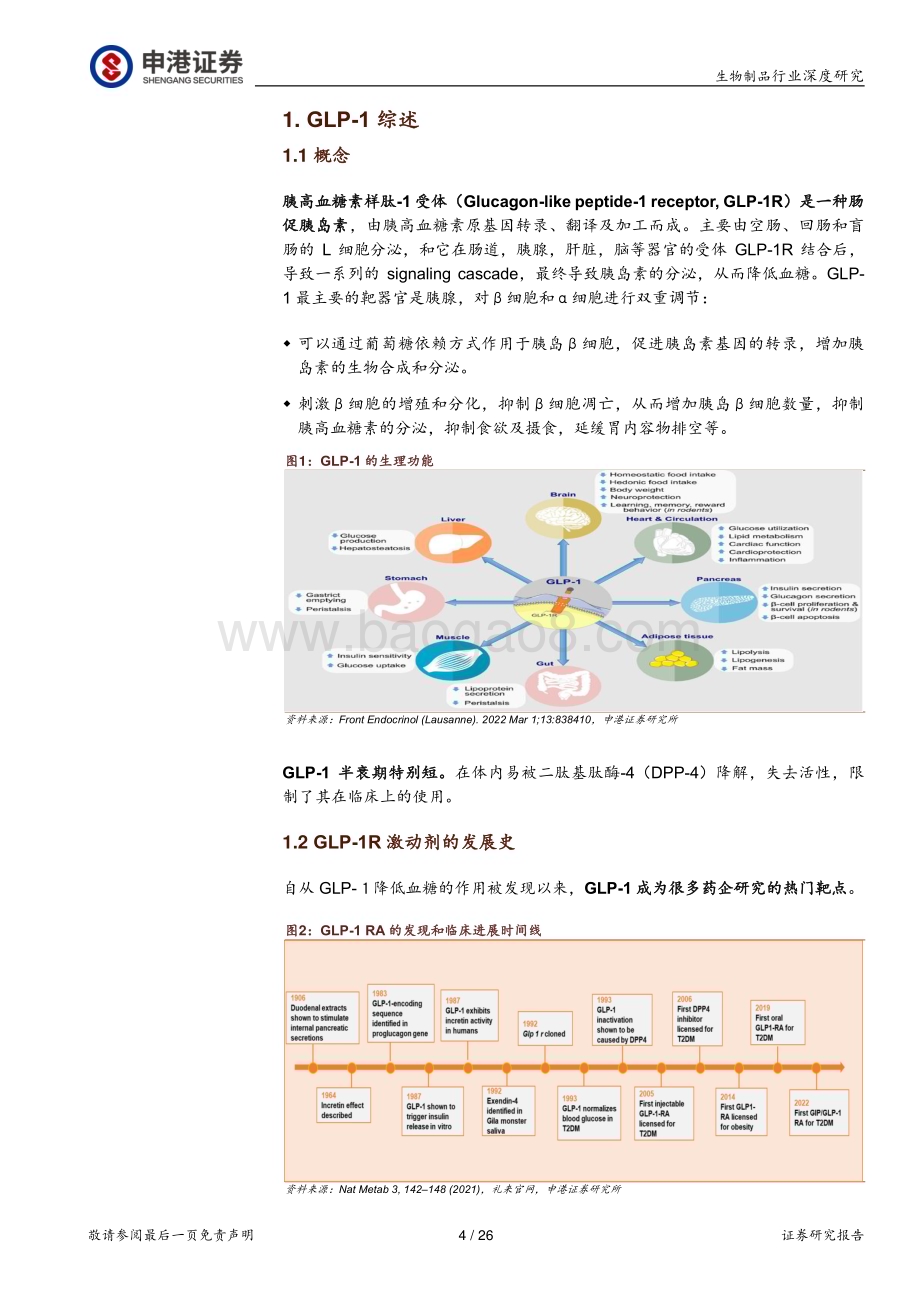 深度报告-20230215-申港证券-生物制品行业深度研究_GLP-1RA药物_下一站药王_26页_2mb.pdf_第4页