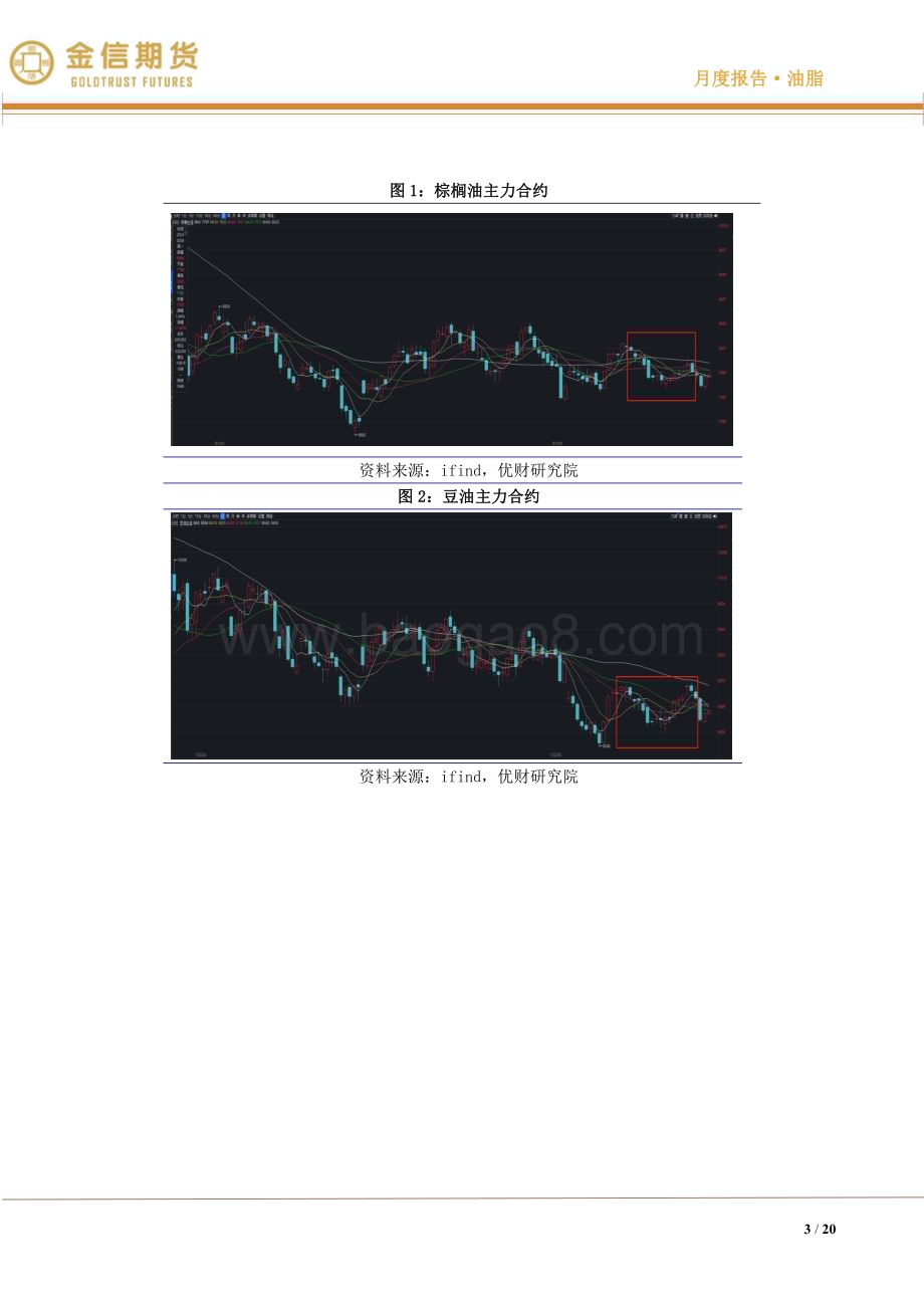 20230205-金信期货-油脂·月度报告_供需双弱→双强_20页_1mb.pdf_第3页