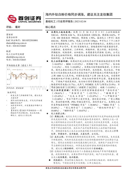20230204-首创证券-基础化工行业简评报告_海内外钛白粉价格同步调涨_建议关注龙佰集团_16页_1mb.pdf