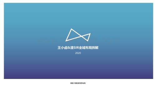 王小卤_渣SIR全域布局拆解_100页_10mb (1).pdf