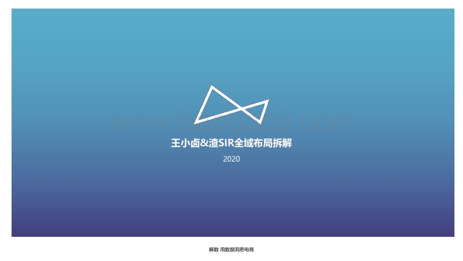 王小卤_渣SIR全域布局拆解_100页_10mb (1).pdf_第1页