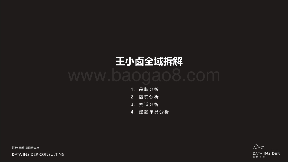 王小卤_渣SIR全域布局拆解_100页_10mb (1).pdf_第4页