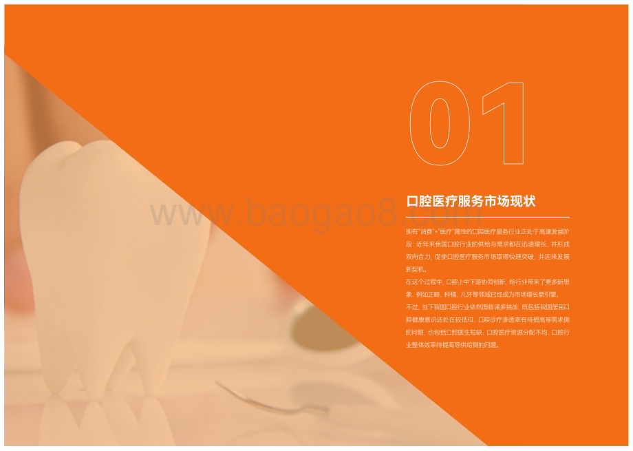 动脉网_美团医疗：2023口腔医疗服务洞察报告_29页_9mb.pdf_第4页