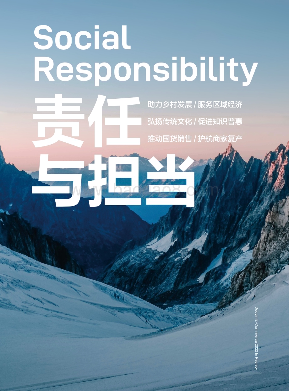 抖音电商：2022抖音电商这一年_84页_41mb (2).pdf_第4页