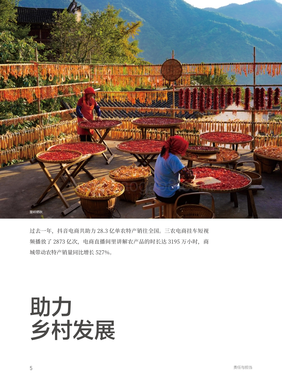 抖音电商：2022抖音电商这一年_84页_41mb (2).pdf_第5页