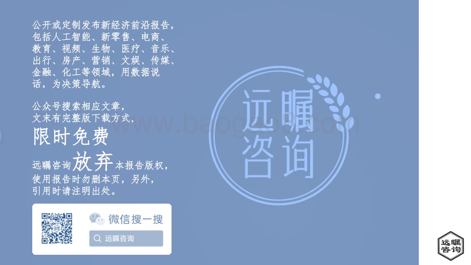 远瞩咨询：2022年中国人工智能行业分析_44页_2mb (1).pdf_第2页