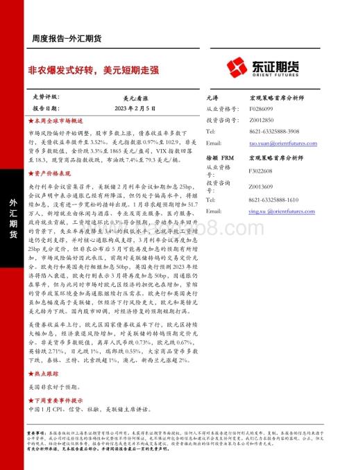 20230205-东证期货-外汇期货周度报告_非农爆发式好转_美元短期走强_11页_3mb.pdf