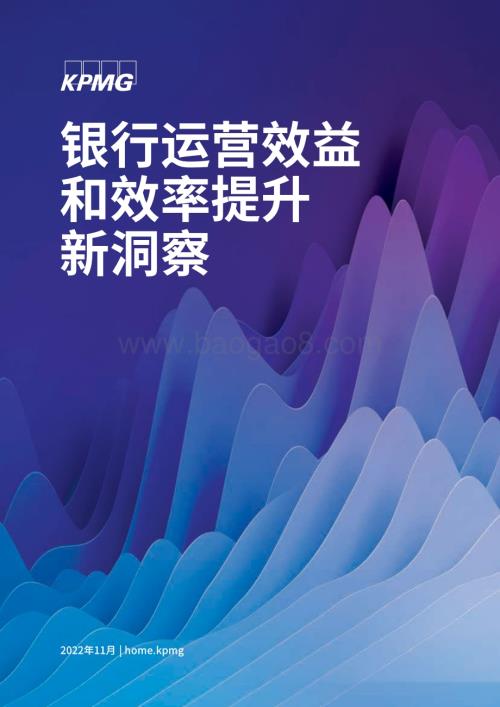毕马威：银行运营效益和效率提升新洞察_15页_884kb.pdf
