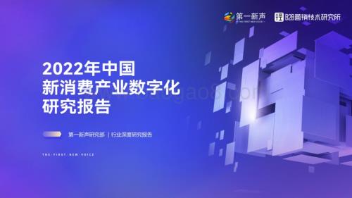 第一新声：2022年中国新消费产业数字化研究报告_68页_9mb.pdf