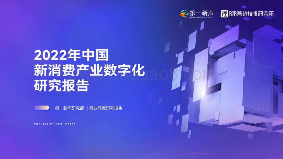 第一新声：2022年中国新消费产业数字化研究报告_68页_9mb.pdf_第1页