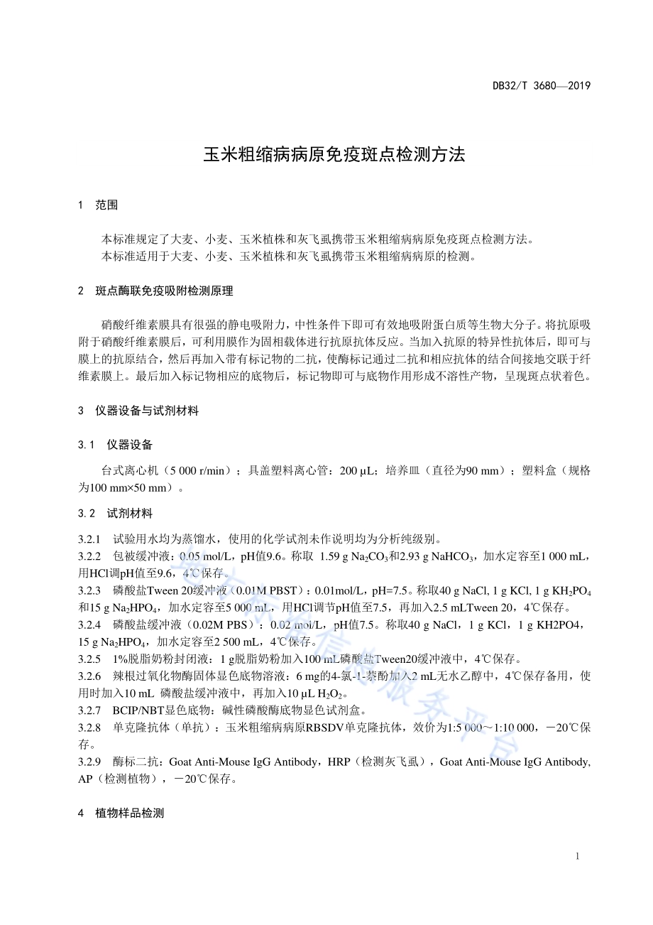 玉米粗缩病病原免疫斑点检测方法DB32／T 3680-2019.pdf_第3页