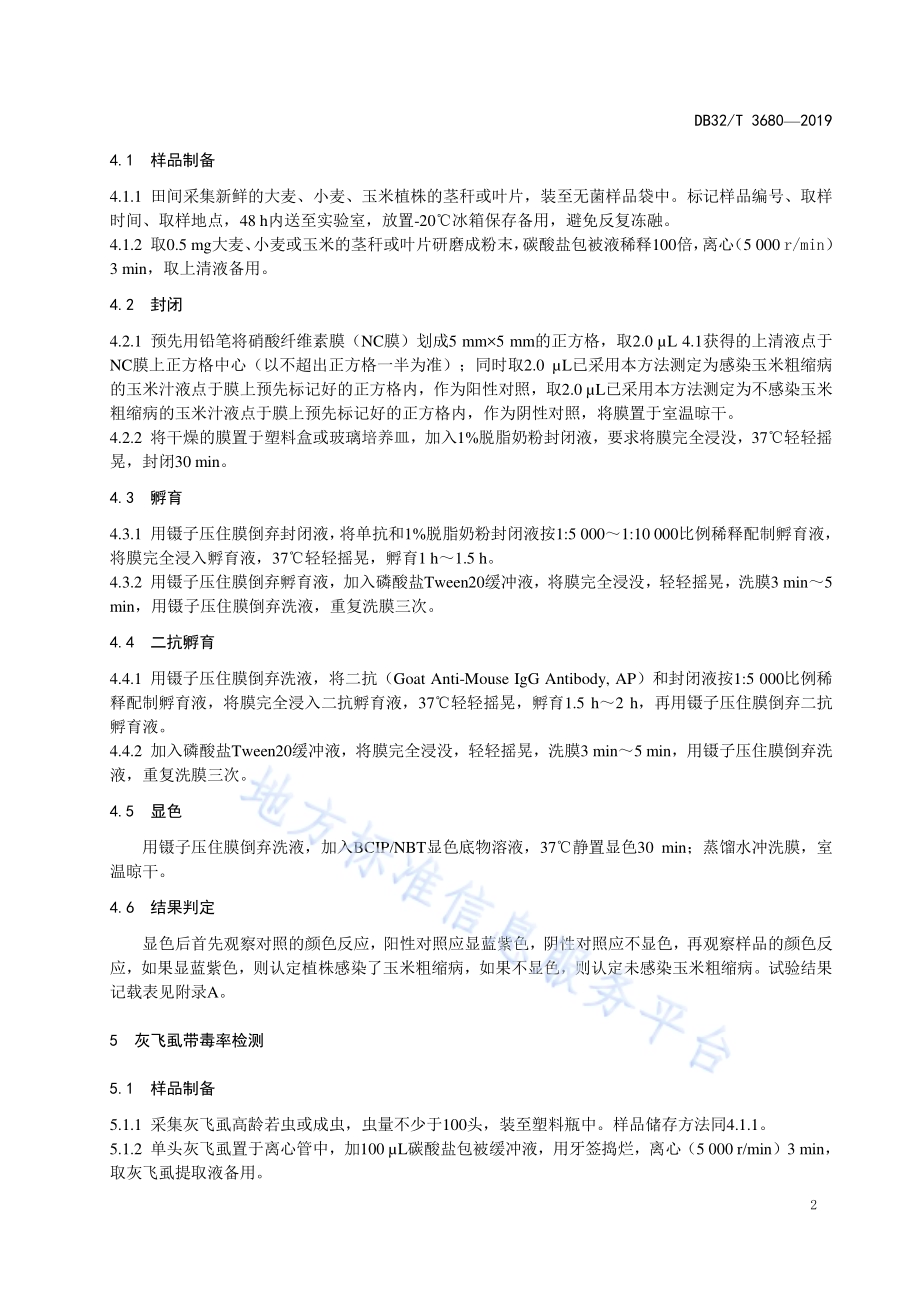 玉米粗缩病病原免疫斑点检测方法DB32／T 3680-2019.pdf_第4页