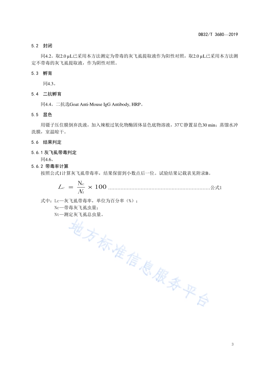 玉米粗缩病病原免疫斑点检测方法DB32／T 3680-2019.pdf_第5页
