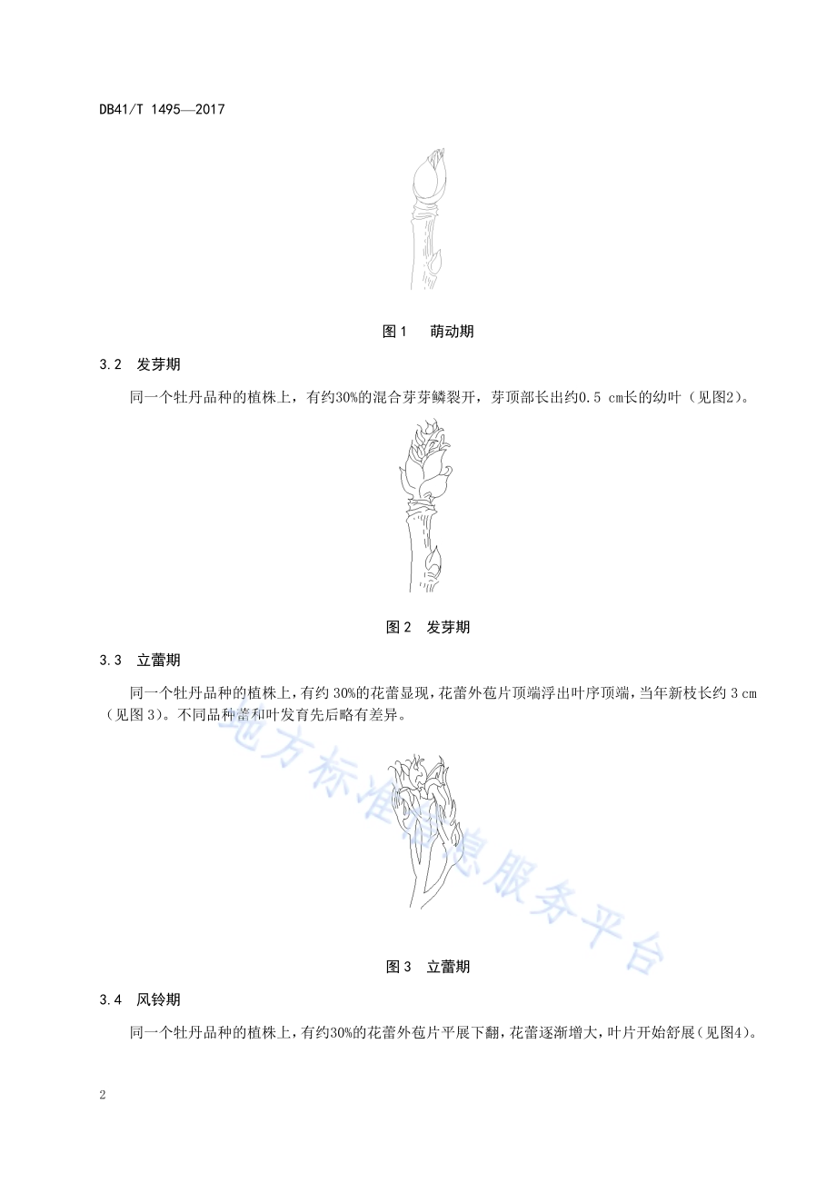 牡丹花期预测DB41／T 1495-2017.pdf_第4页
