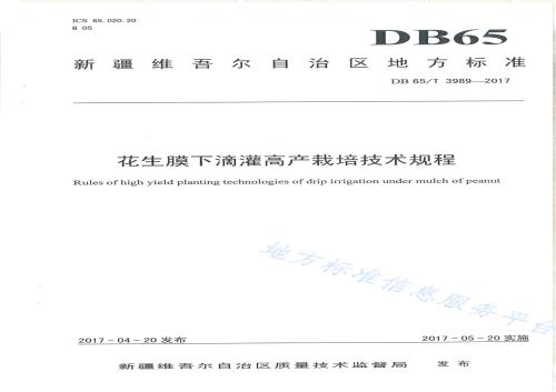 花生膜下滴灌高产栽培技术规程DB65／T 3989-2017.pdf
