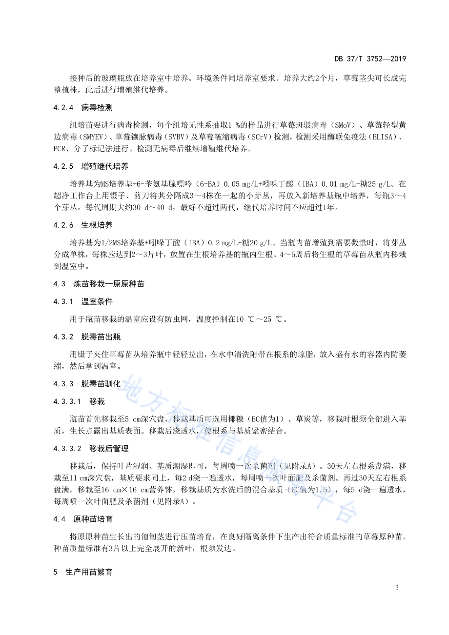 草莓苗木繁育技术规程DB37／T 3752-2019.pdf_第5页