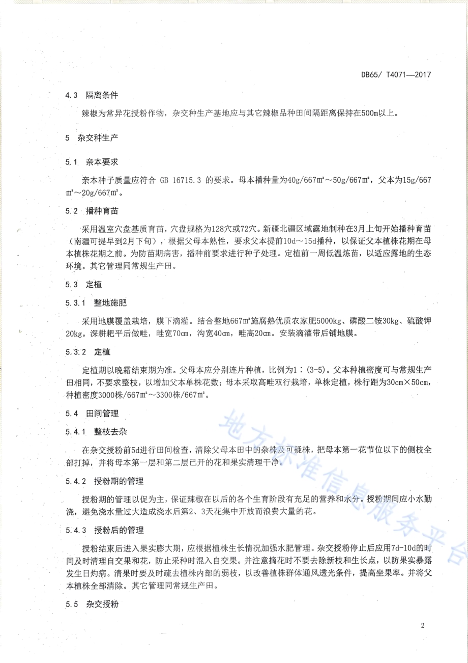 辣椒杂交种生产技术规程DB65／T 4071-2017.pdf_第4页