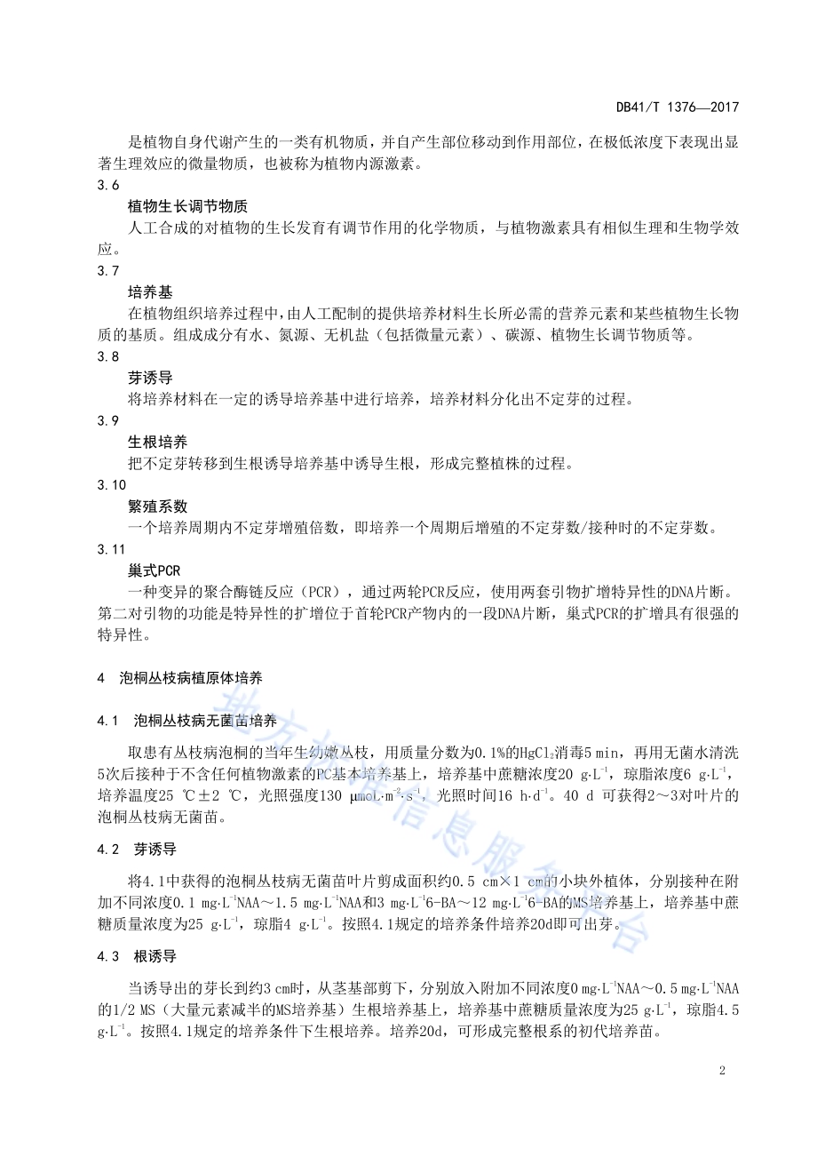 泡桐丛枝病植原体保存体系建立规范DB41／T 1376-2017.pdf_第5页