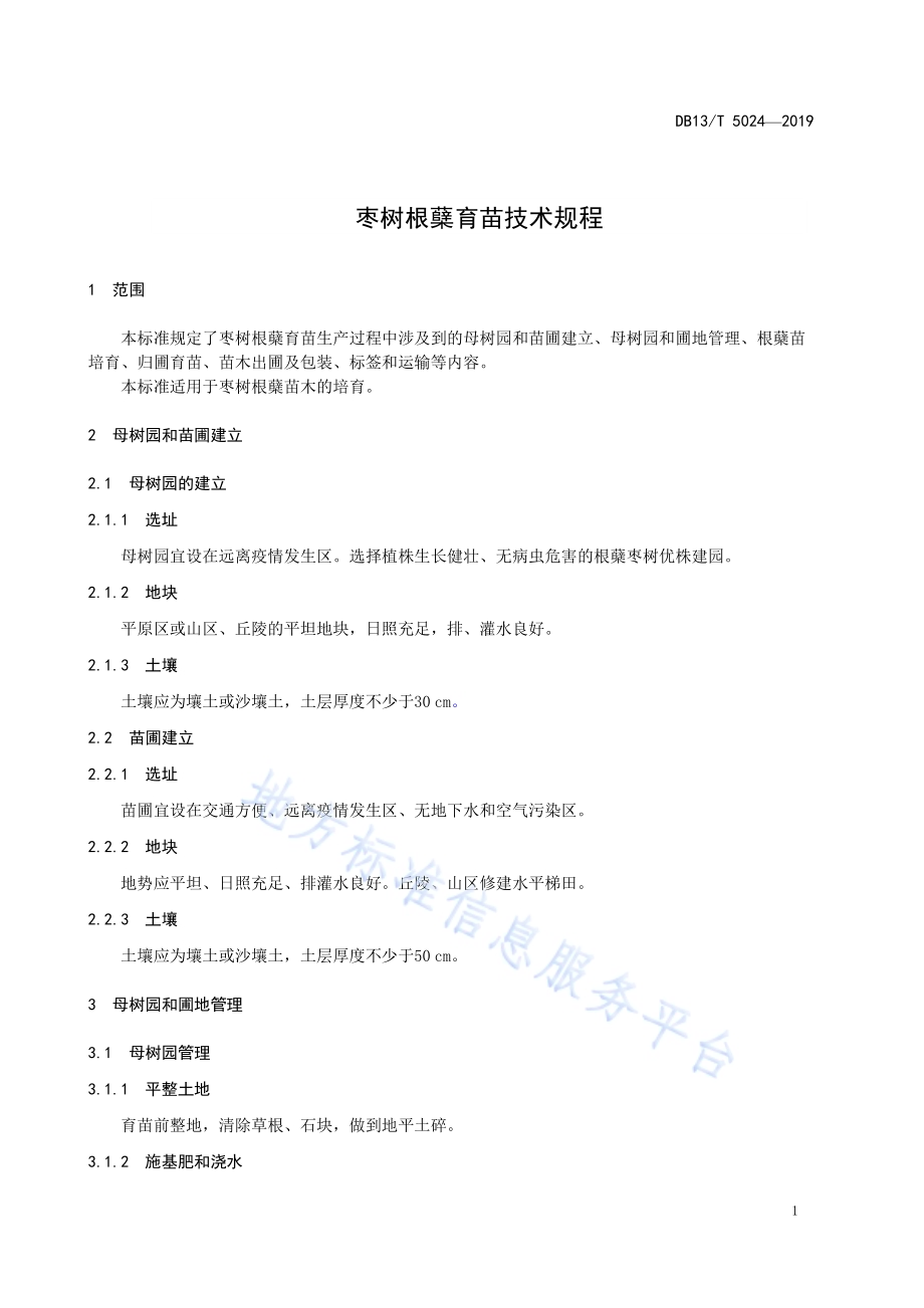 枣树根蘖育苗技术规程DB13／T 5024-2019.pdf_第5页