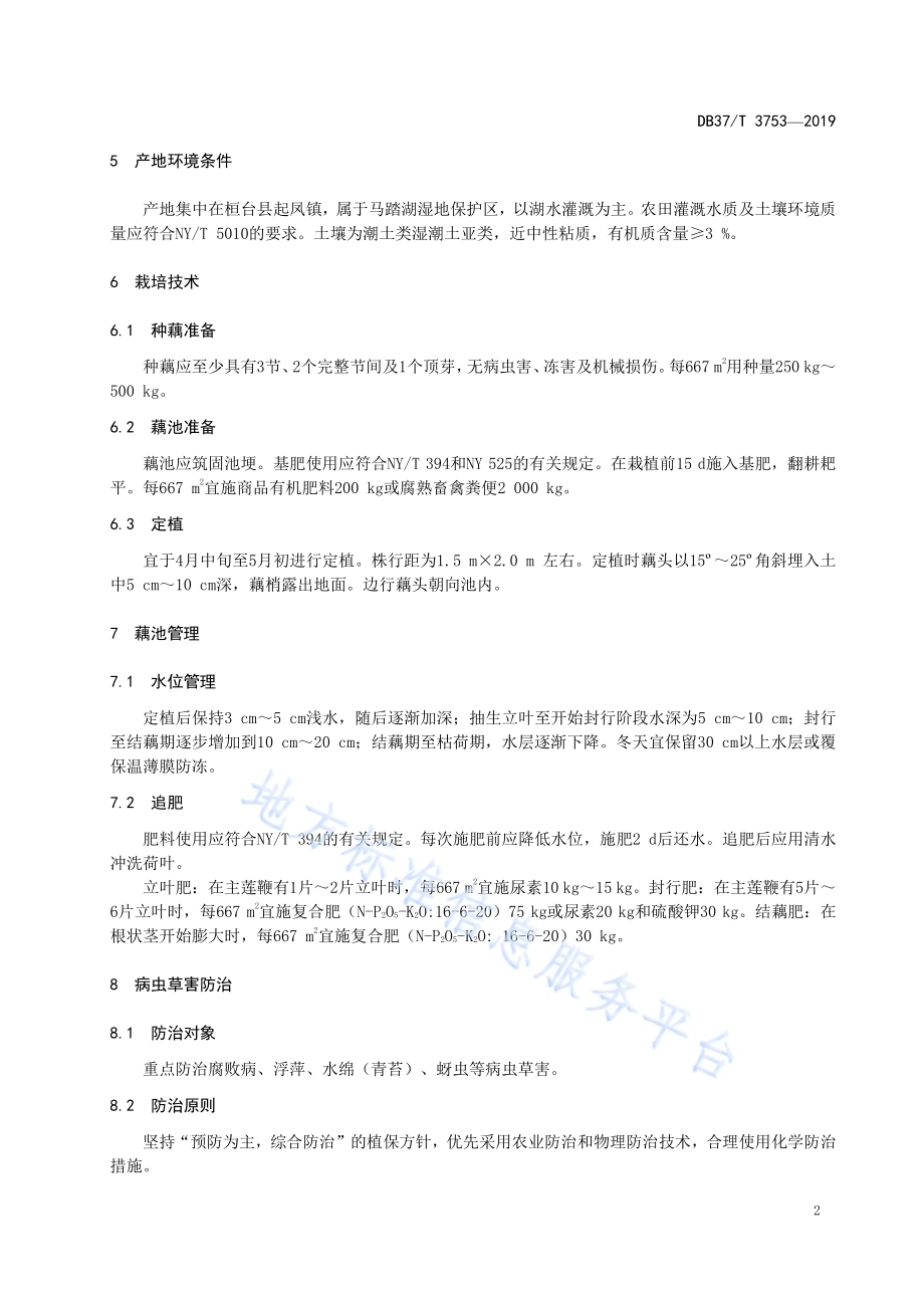 地理标志产品　马踏湖白莲藕生产技术规程DB37／T 3753-2019.pdf_第4页