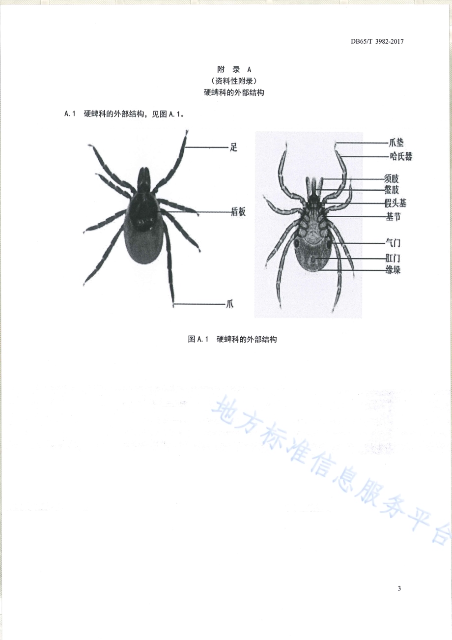 媒介生物 硬蜱综合防治技术规范DB65／T 3982-2017.pdf_第5页