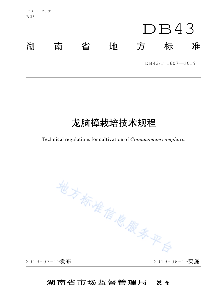 龙脑樟栽培技术规程DB43／T 1607-2019.pdf_第1页