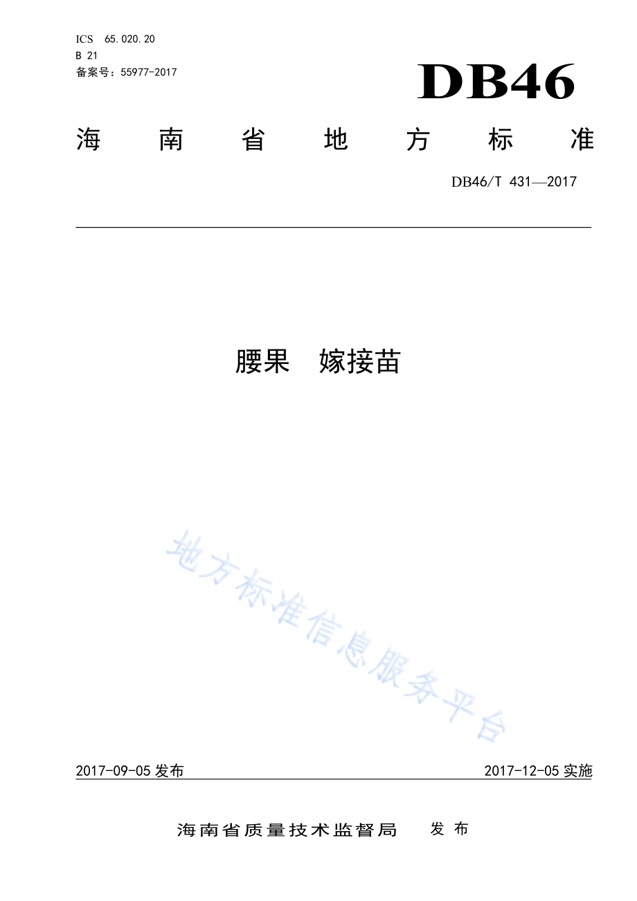 腰果 嫁接苗DB46／T 431-2017.pdf_第1页