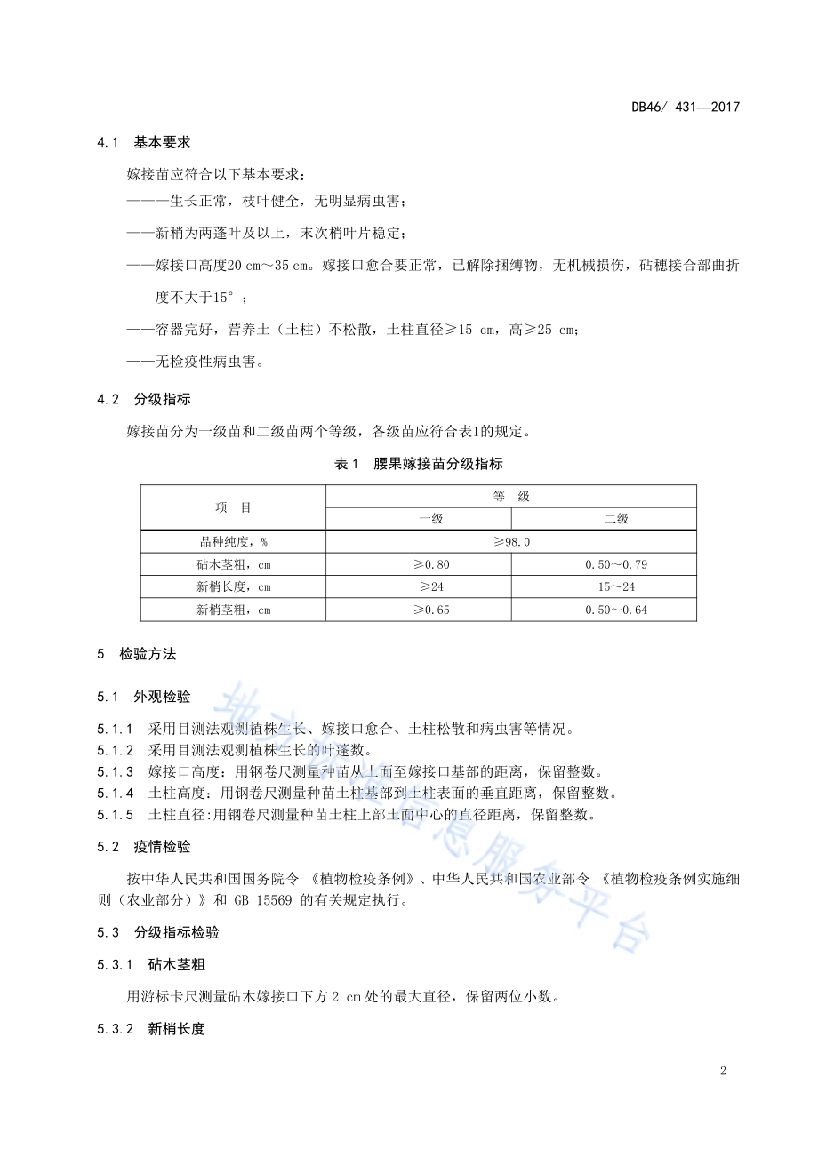 腰果 嫁接苗DB46／T 431-2017.pdf_第4页