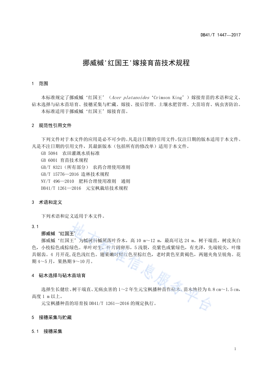 挪威槭‘红国王’嫁接育苗技术规程DB41／T 1447-2017.pdf_第3页