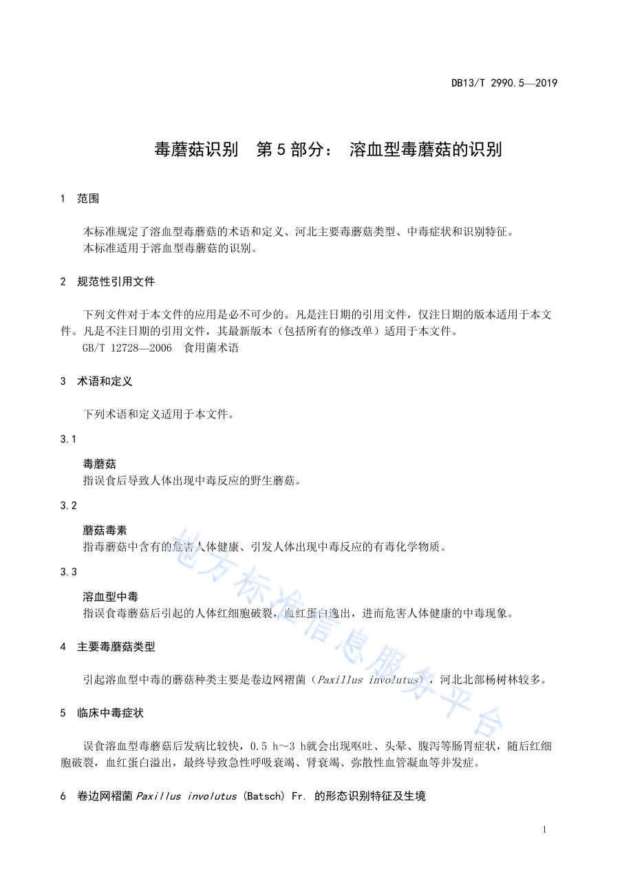 毒蘑菇识别 第5部分：溶血型毒蘑菇DB13／T 2990.5-2019.pdf_第5页