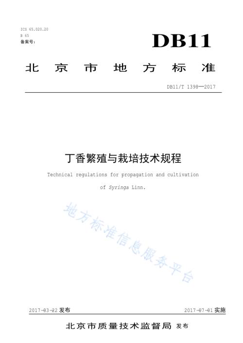 丁香繁殖与栽培技术规程DB11／T 1398-2017.pdf